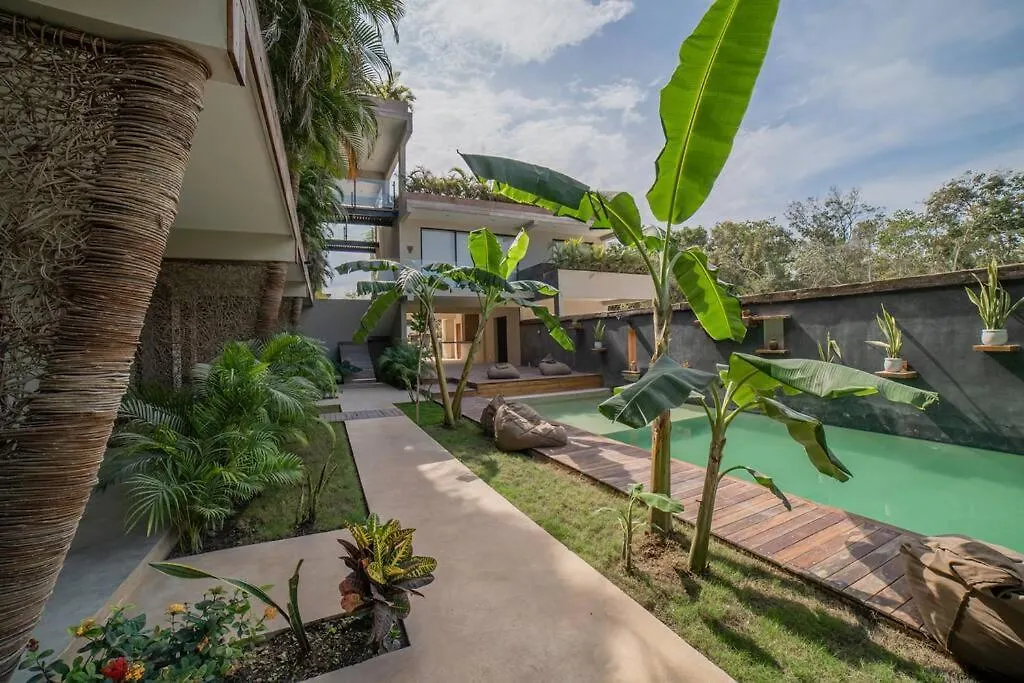 Luxury Oasis Vibes Jungle Retreat Beach Access Tulum